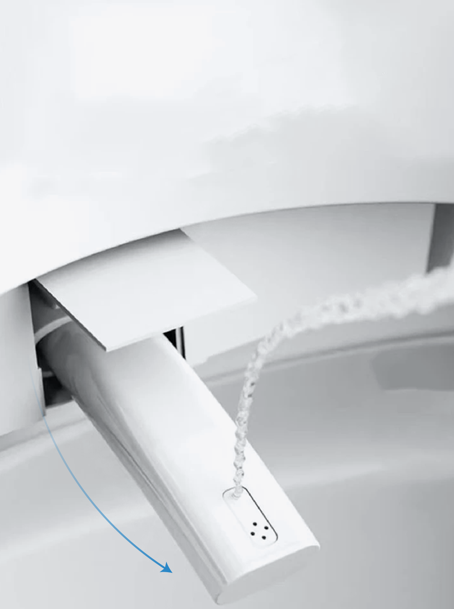 Bidet Cleaning